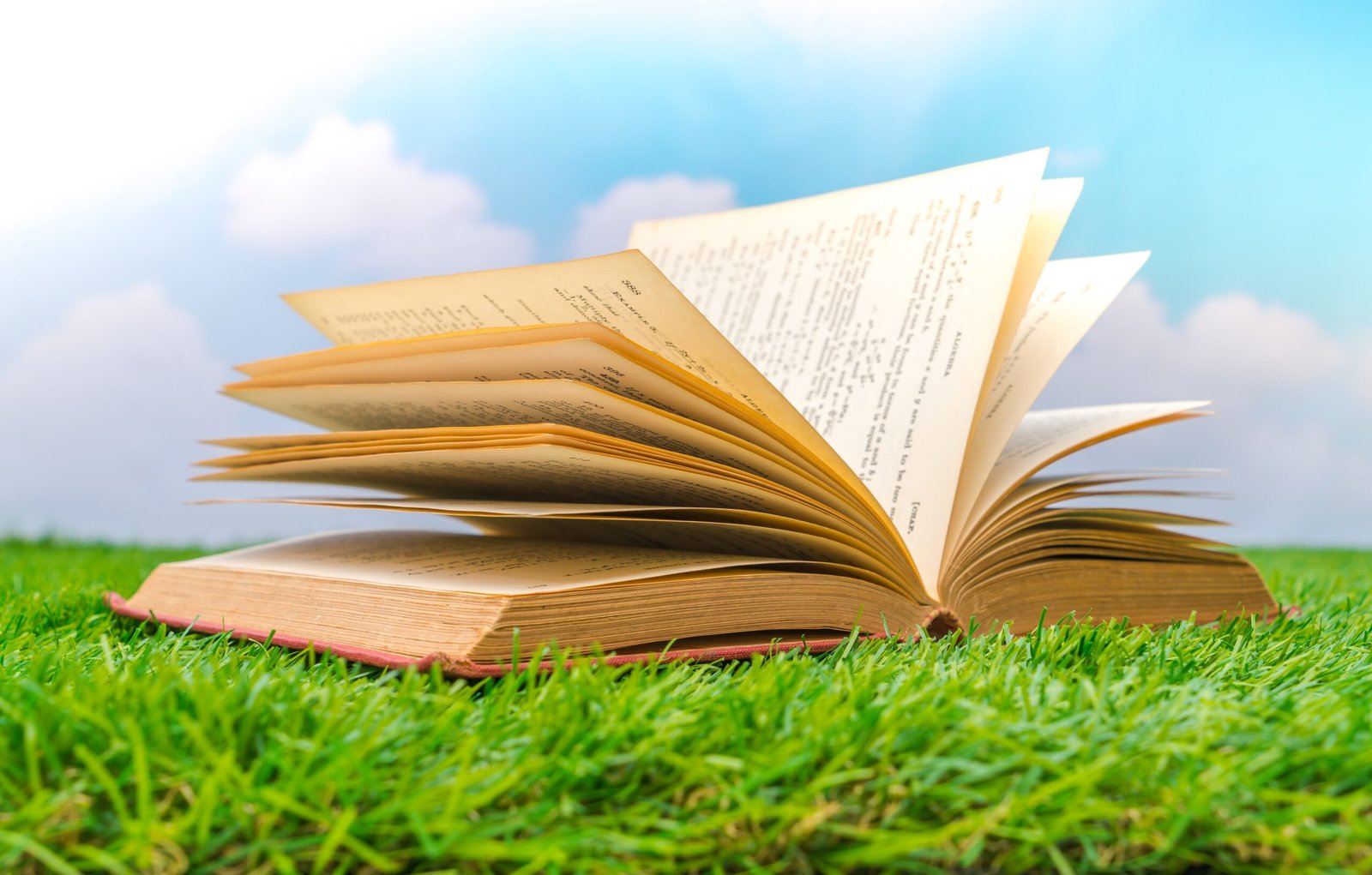open-book-grass (1)
